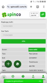 Screenshot_20250317-000352_Chrome.jpg